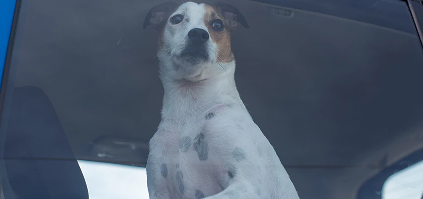 Car Lockout Solutions in La Verne, California